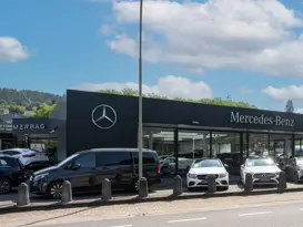 Merzig 28