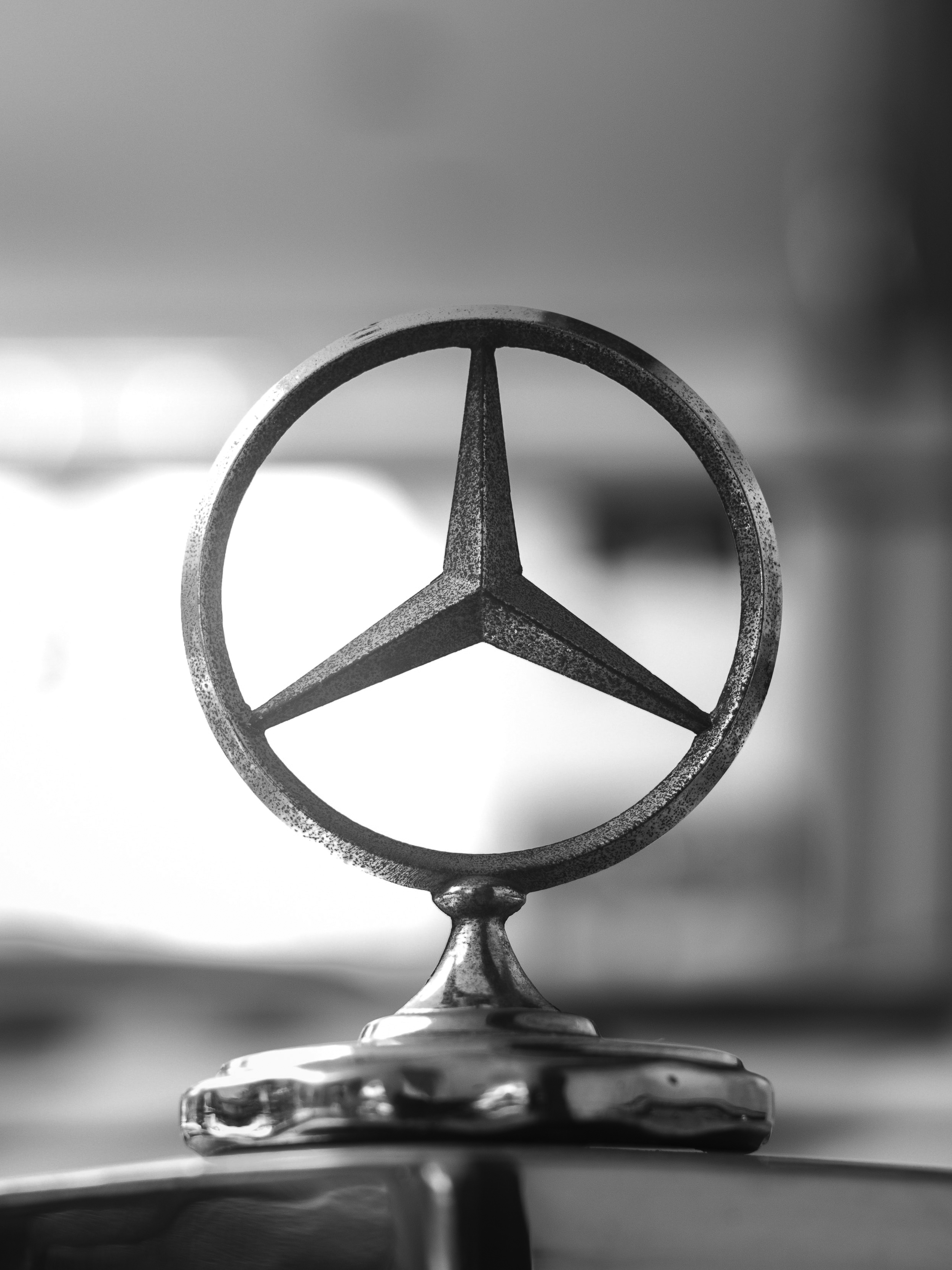 Mercedes Stern
